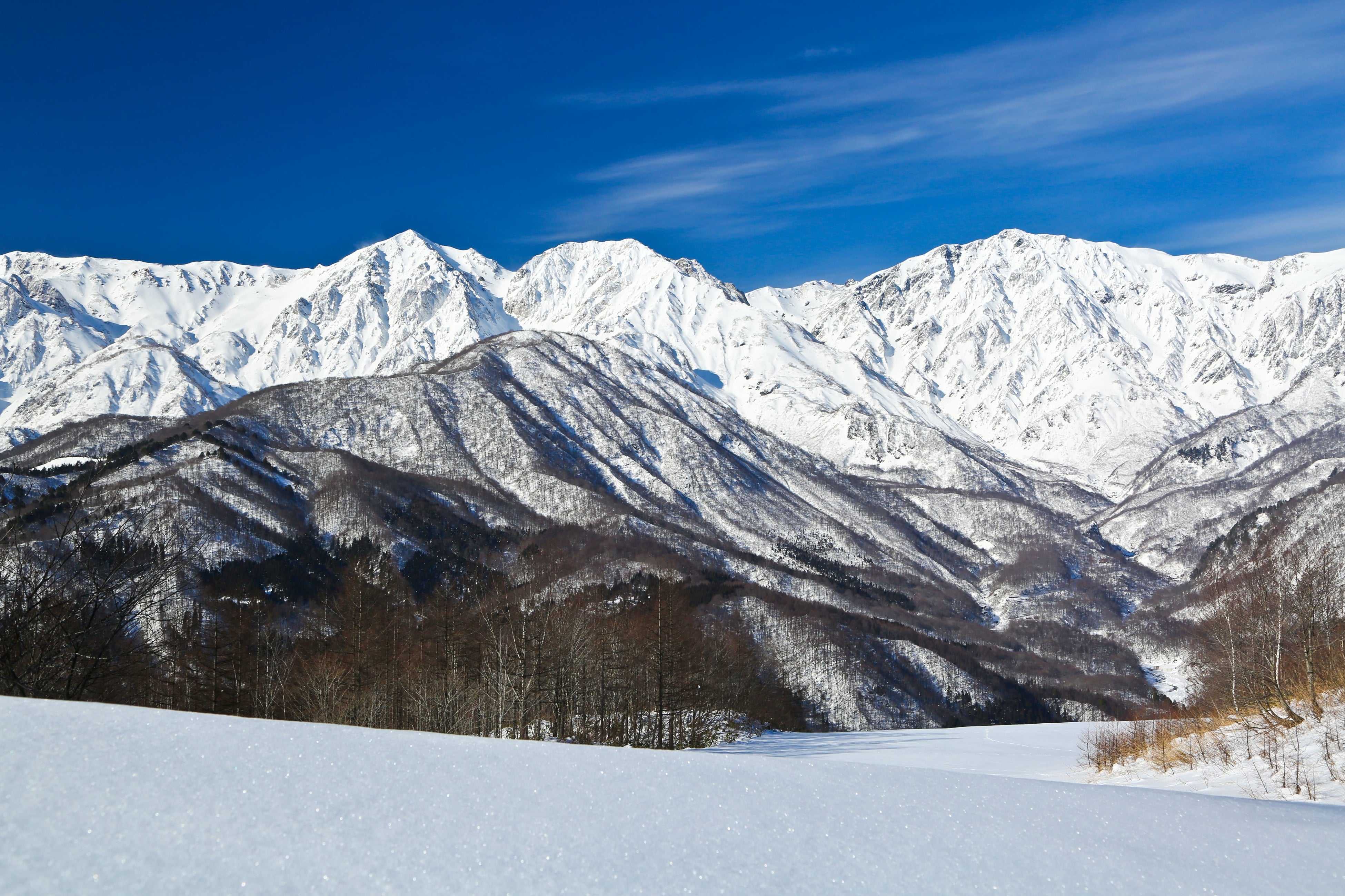 白馬岩岳スノーフィールド