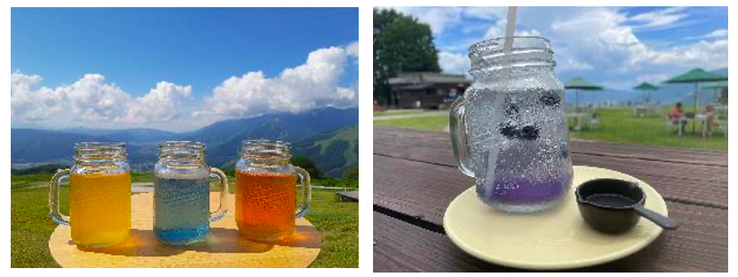 （左）カフェド漢方のHAKUBA YELLOW、HAKUBA BLUE、HAKUBA REDの「アイスティー」（右）Skyark DECK CAFÉで販売する「HAKUBA BLUEソーダ」