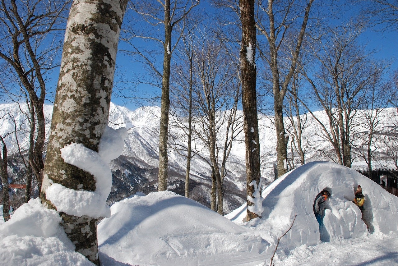 雪像やフォトスポットがあるIWATAKE WHITE PARK