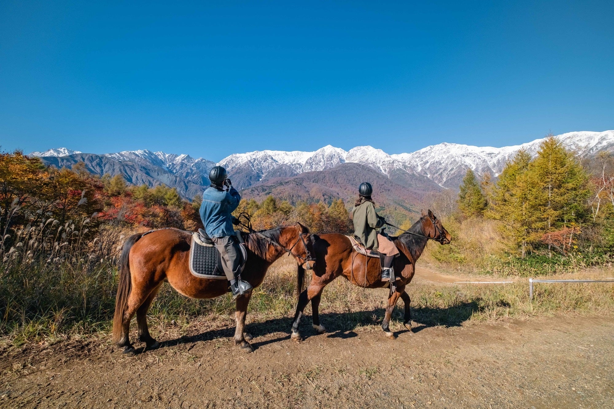 白馬岩岳マウンテンリゾート、2期連続でグリーンシーズンの来場者数が