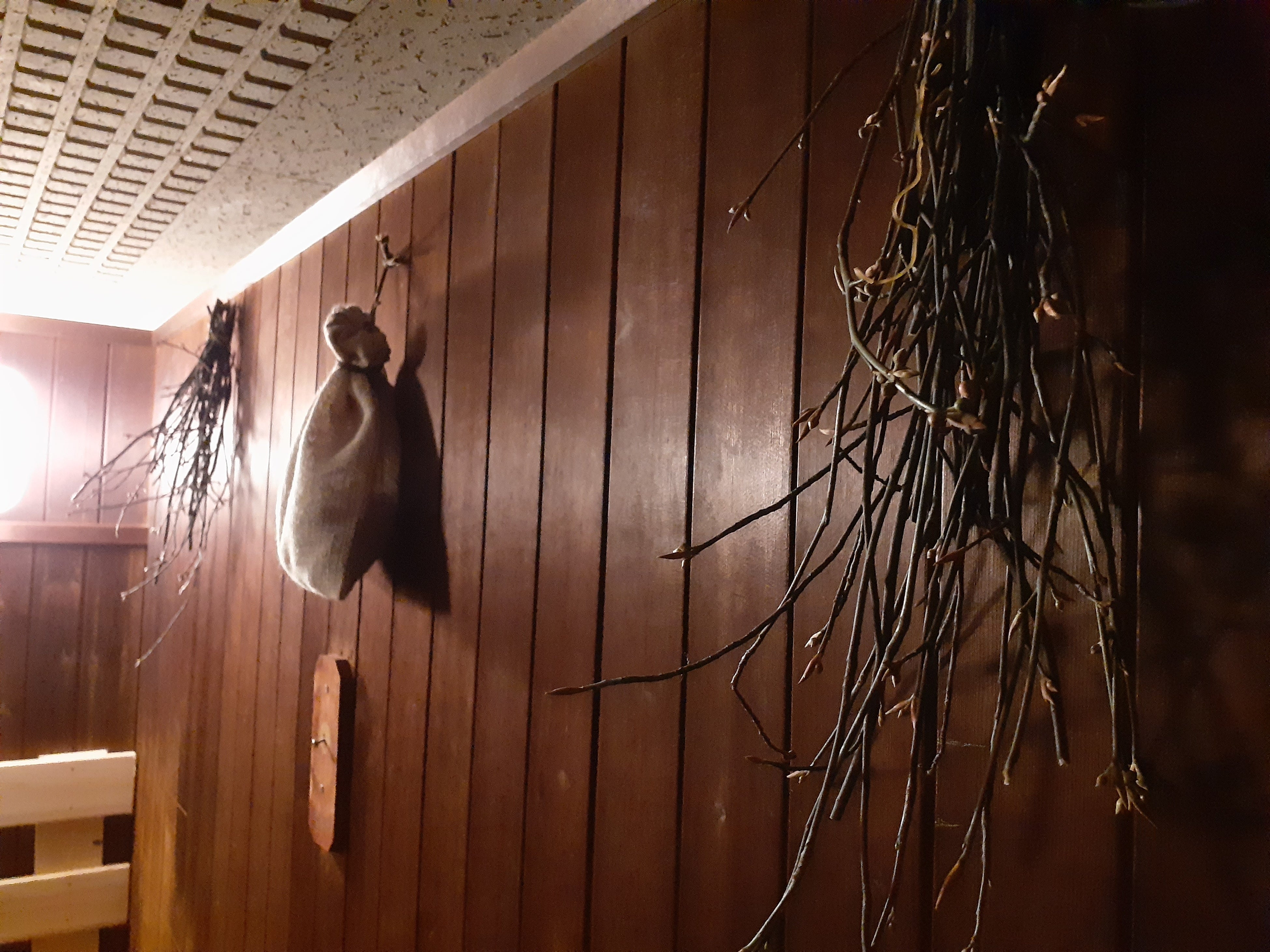 「クロモジサウナ」の内観（イメージ）