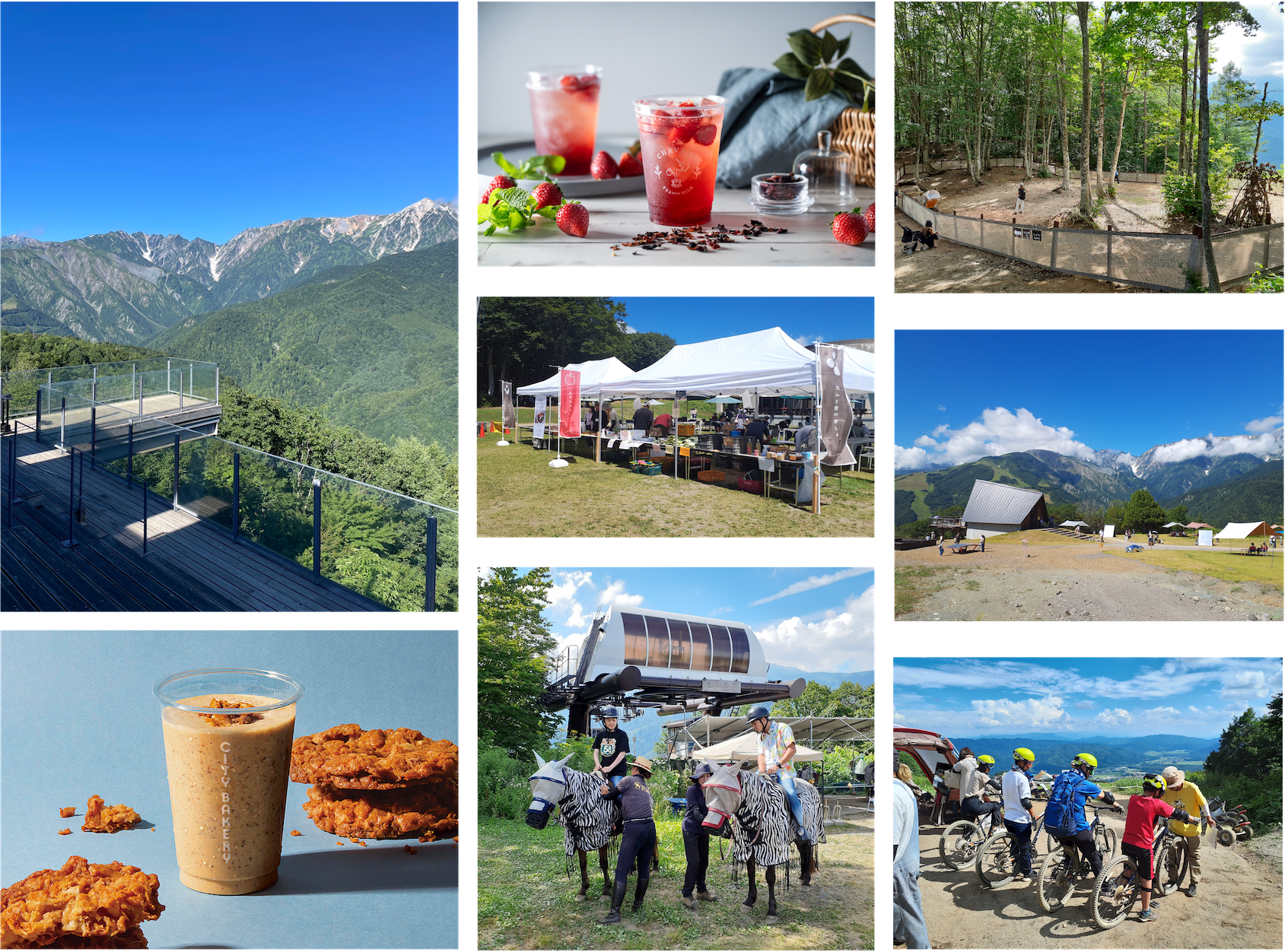 （左列上から）HAKUBA MOUNTAIN HARBOR、THE CITY BAKERY「CBクッキーシェイク ココナッツキャラメル」、(中央列上から)CHAVATY HAKUBA「サマーリリカルミントティーソーダ」、アルプスファーマーズクラブによる白馬