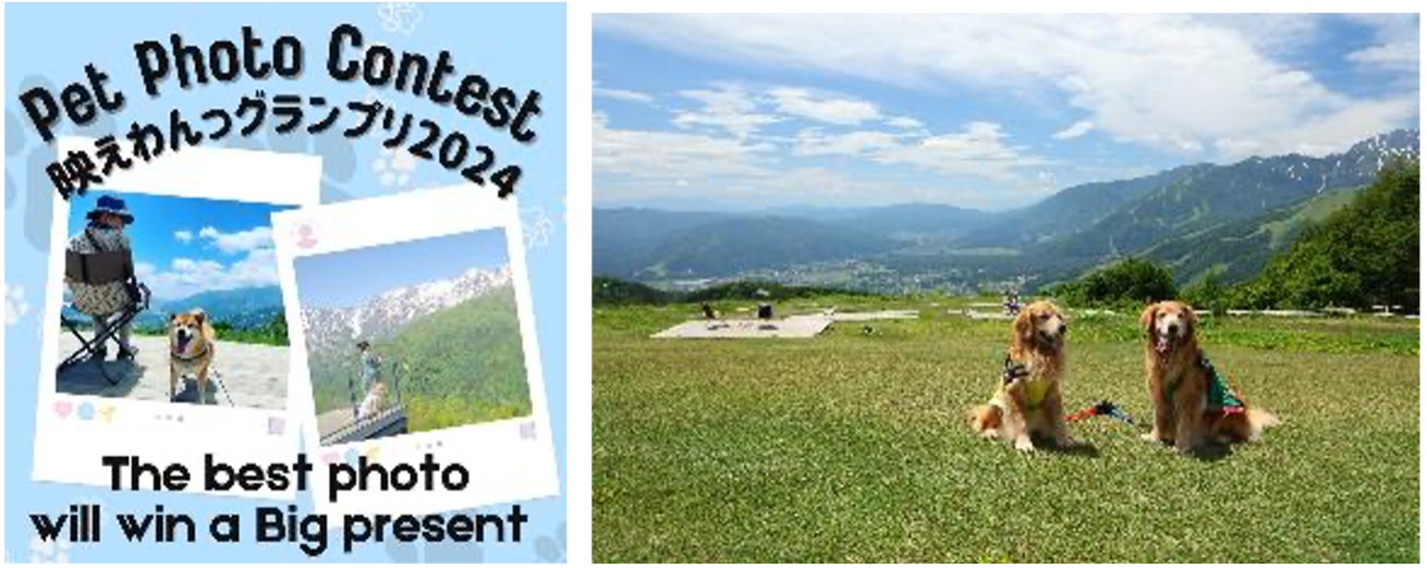 (左)キャンペーンのビジュアルイメージ (右)山頂からの風景+ペットの写真イメージ