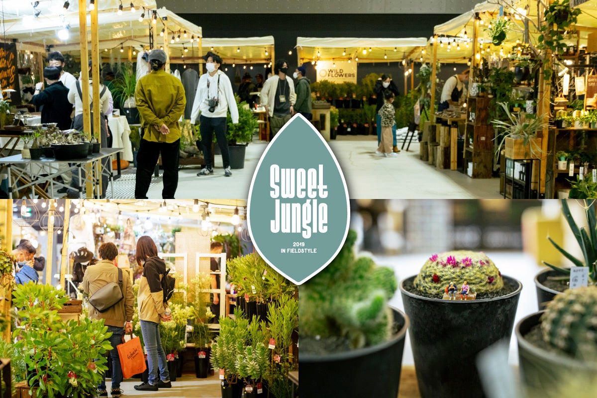 昨年末の様子　©FIELDSTYLE works