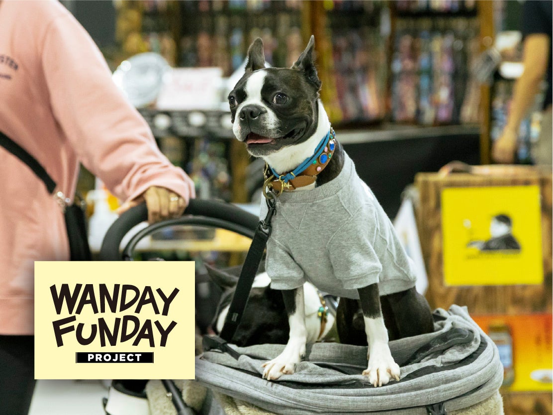 愛犬と楽しく過ごすライフスタイルを提案する”WANDAY FUNDAY”。©FIELDSTYLE works