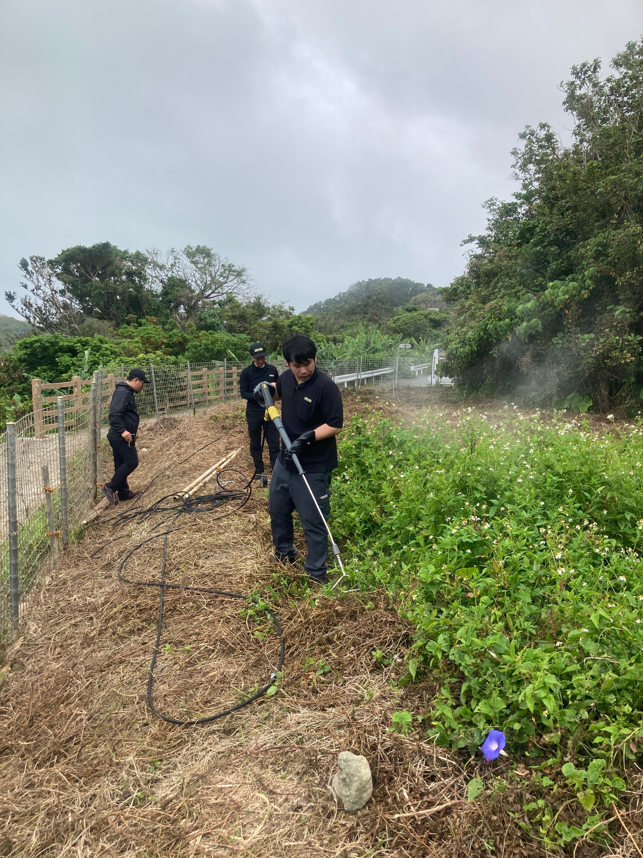 温水処理の様子（沖縄県南城市）