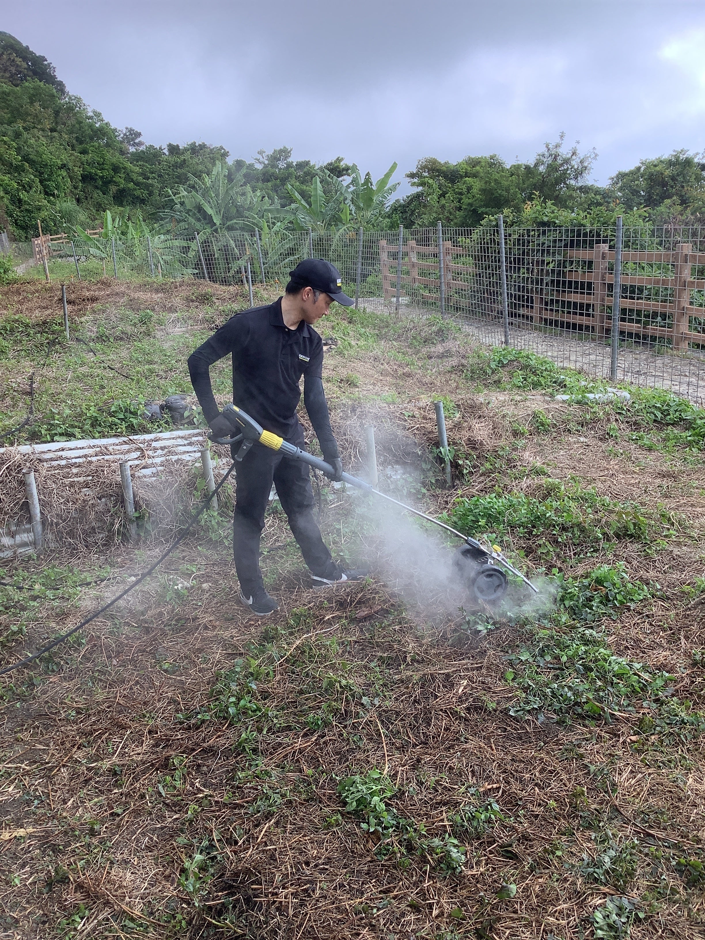 温水処理の様子（沖縄県南城市）