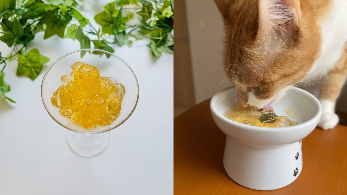 ジュレッタ出来上がりと給餌イメージ