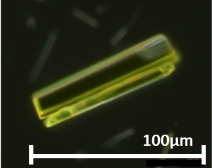 キノフタロン黄色色材単結晶（開発品）