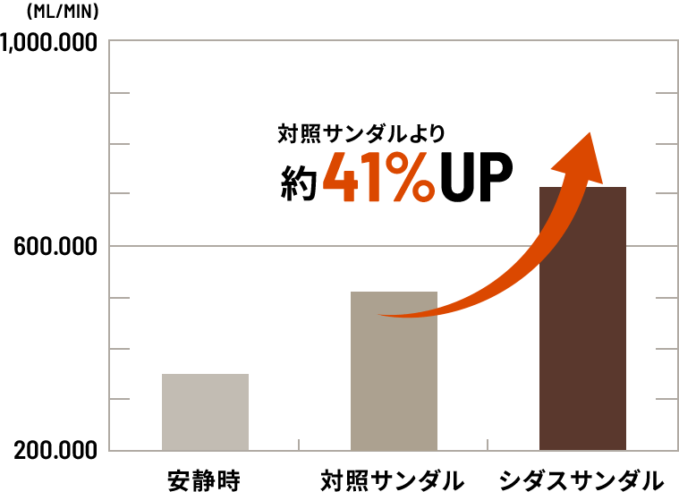 ※「青森県立保健大学 漆畑俊哉（研究課題「サンダル底部の層構造の違いが歩行運動中の下肢筋活動および運動前後の下肢血流量に及ぼす効果」より抜粋）」