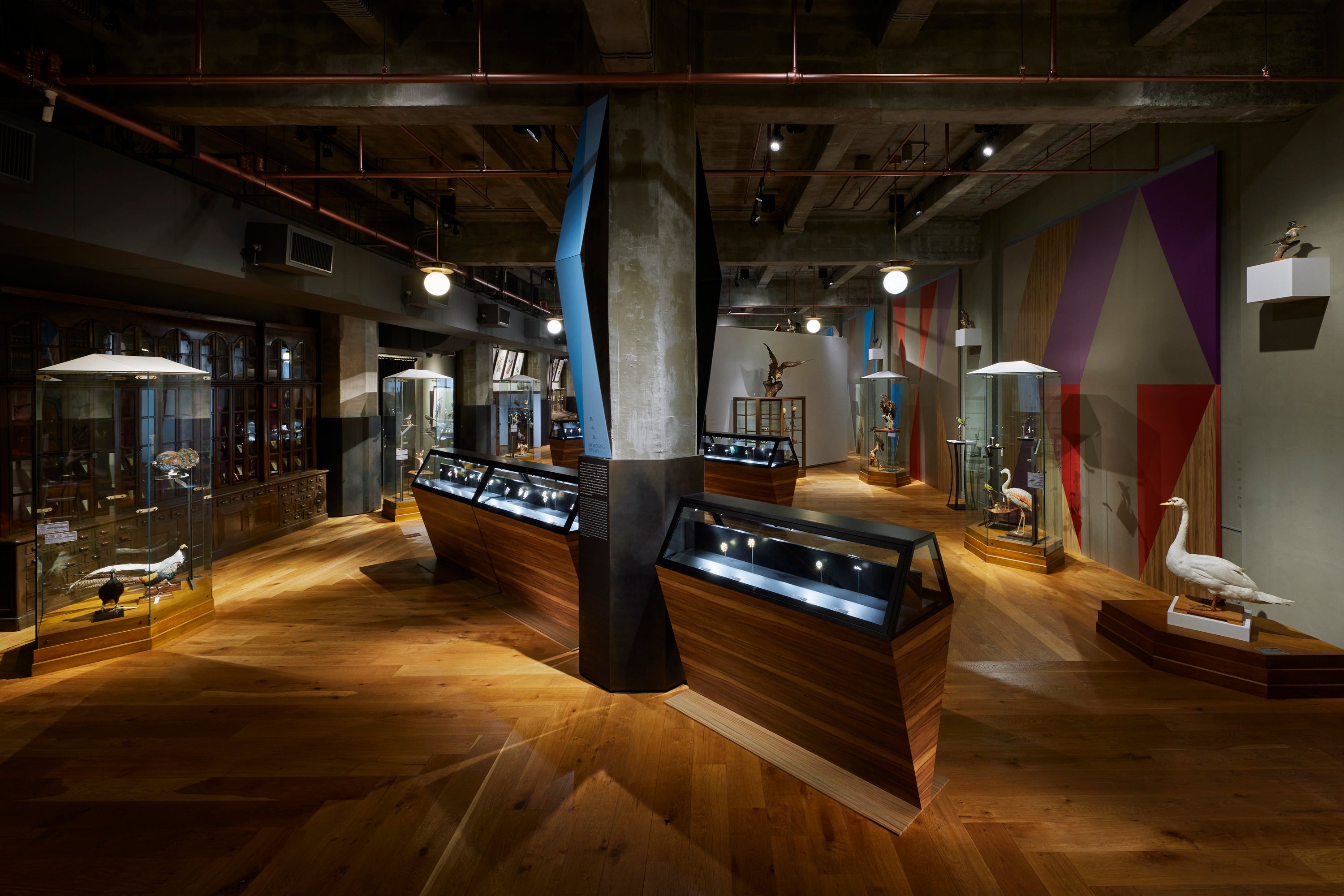 『極楽鳥』会場写真 ©︎ UMUT+L’ÉCOLE