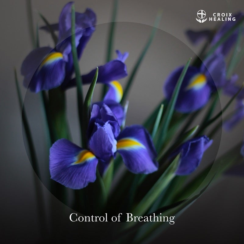 Control of Breathing