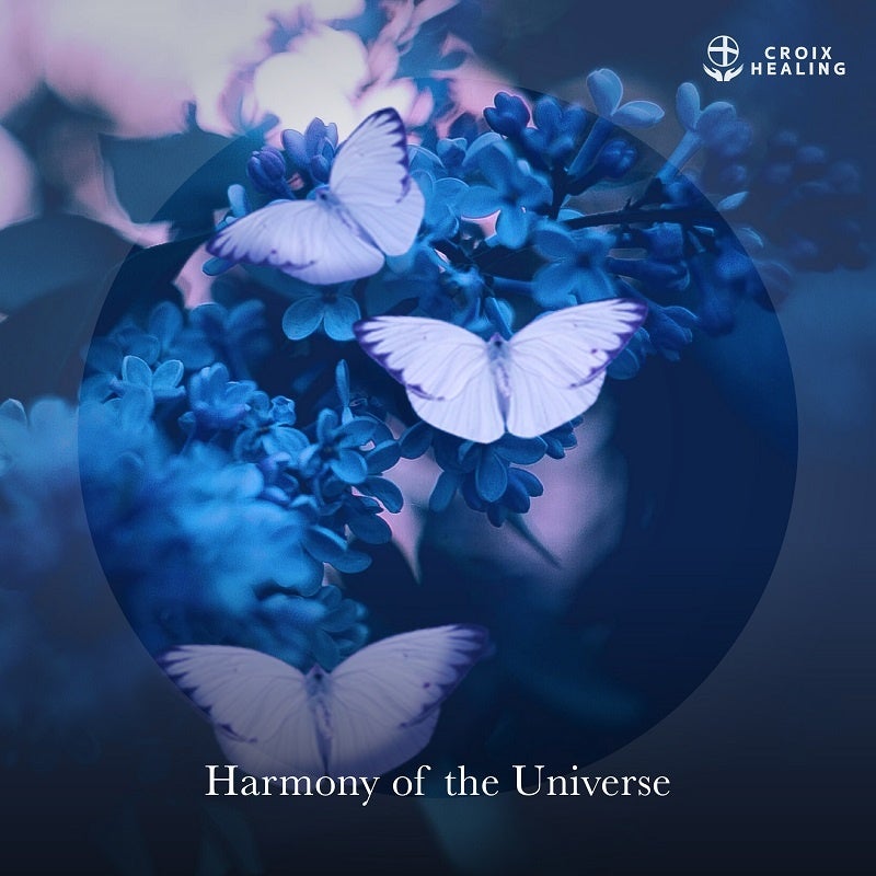 Harmony of the Universe