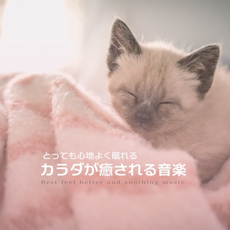 こころを癒すと、カラダが癒される チャック・スペザーノ博士のこころを癒すと、カラダが癒される