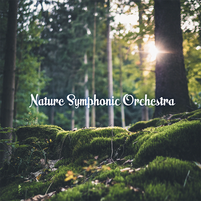 コシチャイム　Aqua[水]　 Aria[空] 　Ignis[火] コシ・チャイム ignis（火） コシチャイムAqua[水] Aria[空