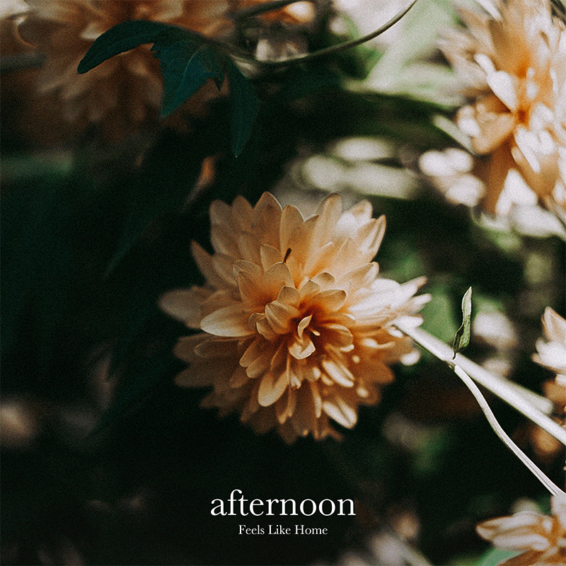 Feels Like Home afternoon