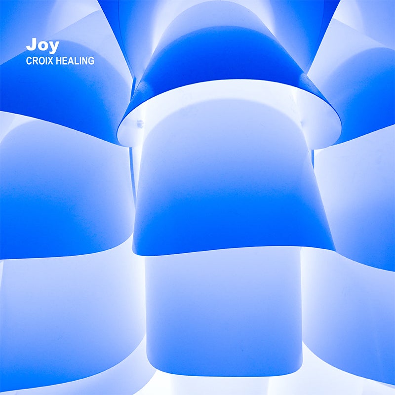 Joy