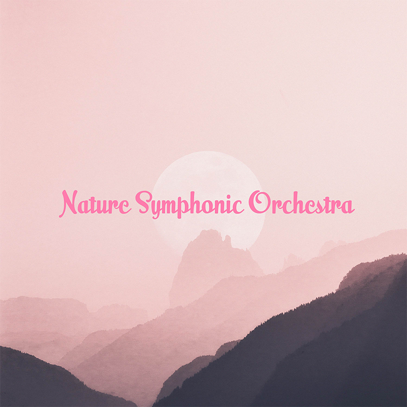 Singing Bowl 528Hz Love & Miracles