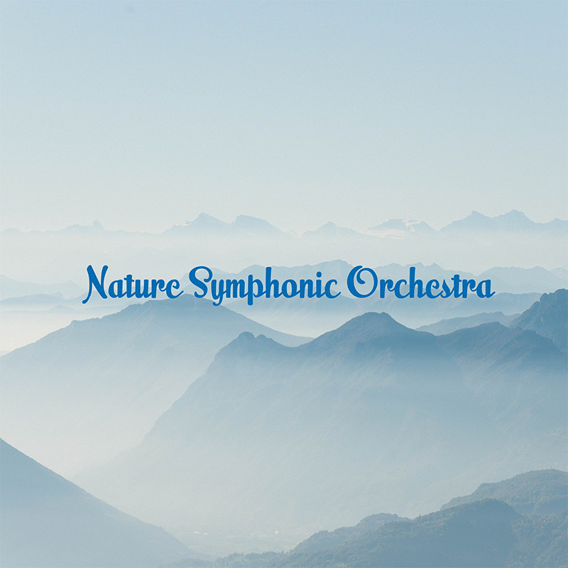 Singing Bowl 528Hz DNA Repair