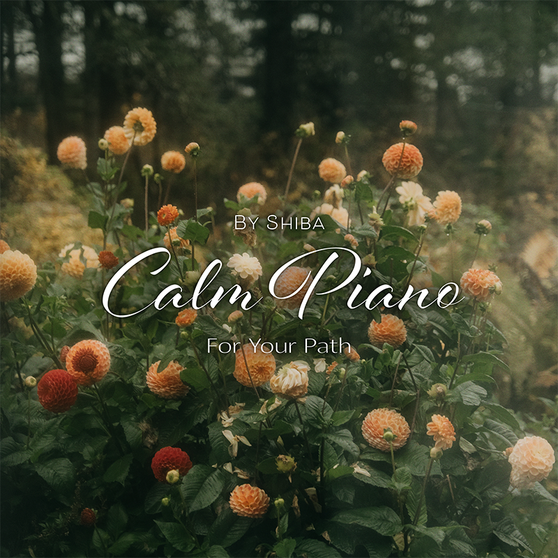 Calm Piano For Your Path