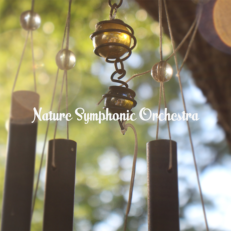 Healing Sounds of Chimes