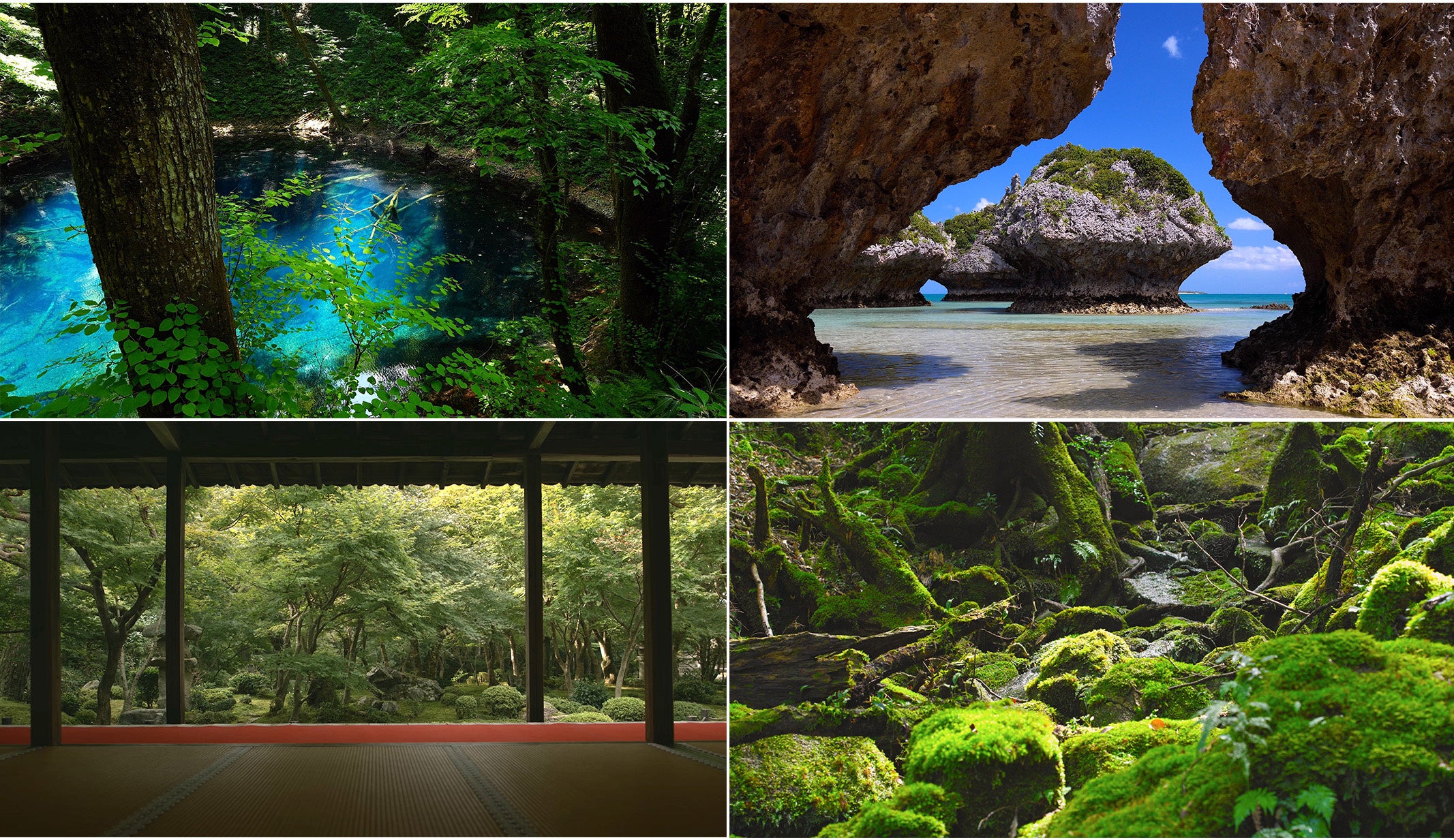 白神山地、沖縄・京都・屋久島などの美しい映像と音楽