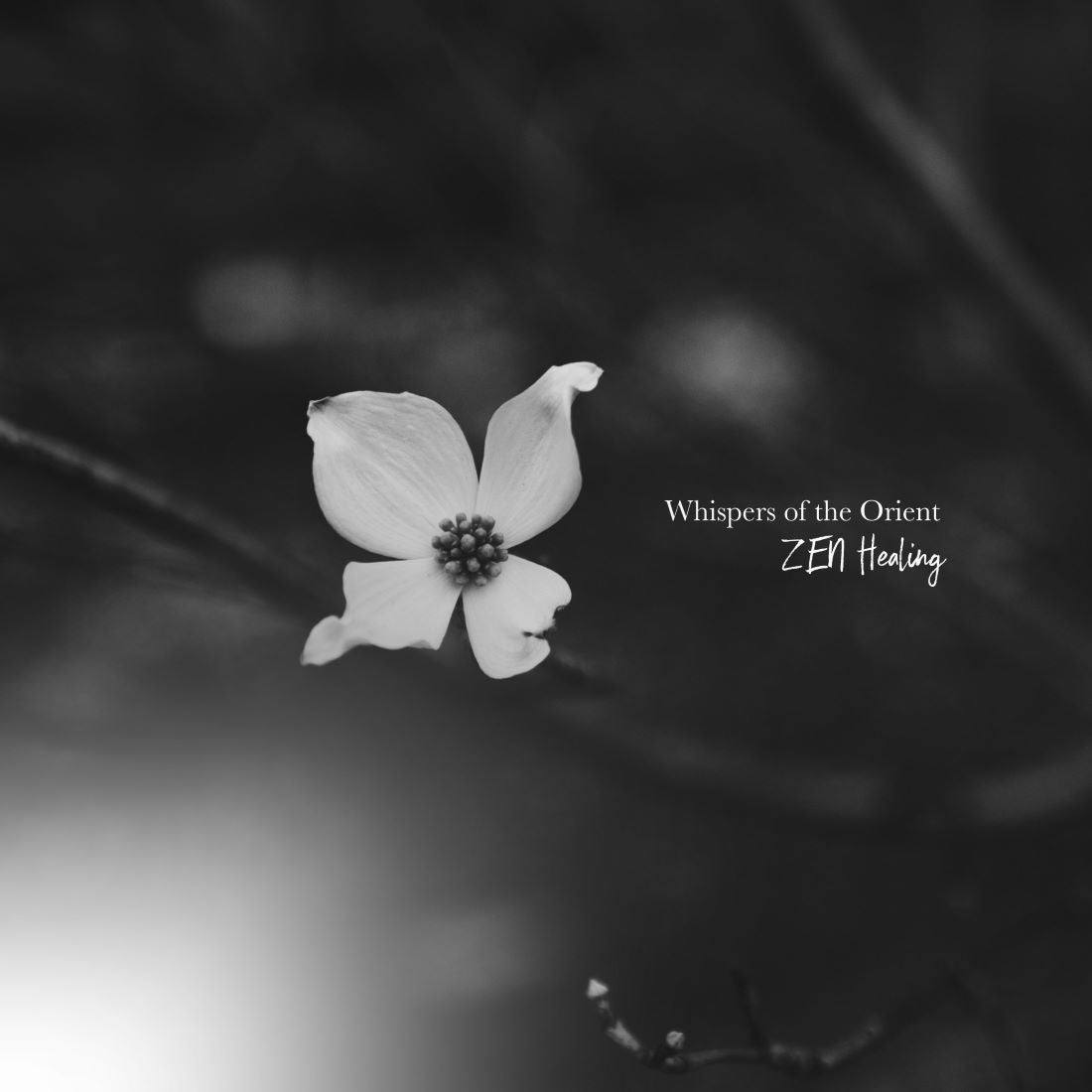 RELAX WORLDの新作アルバム『Whispers of the Orient -ZEN Healing-』が禅の音世界を描く! RELAX WORLDの新作アルバム『Whispers of the Orient -ZEN Healing-』が禅の音世界を描く!