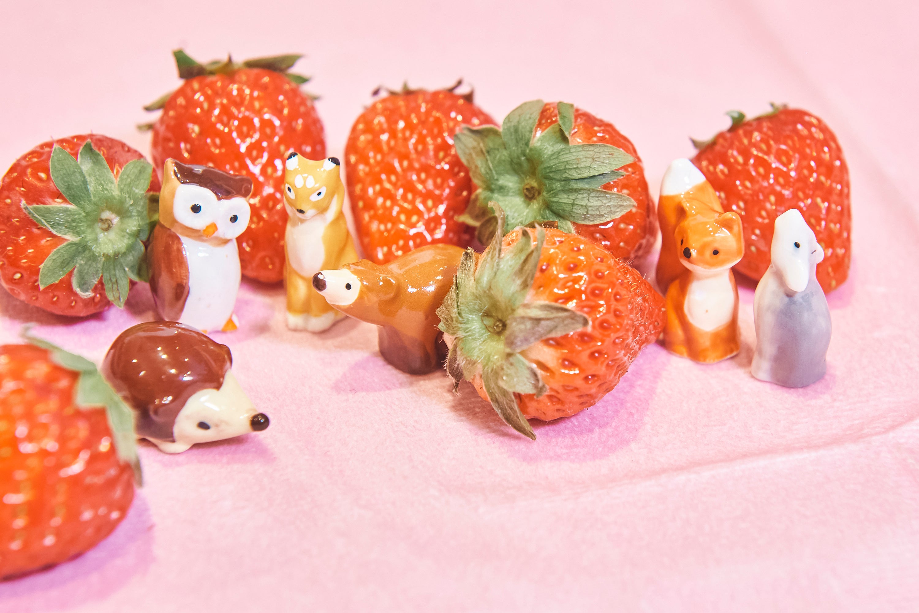 絶滅危惧種をモチーフにしたフェーブ
