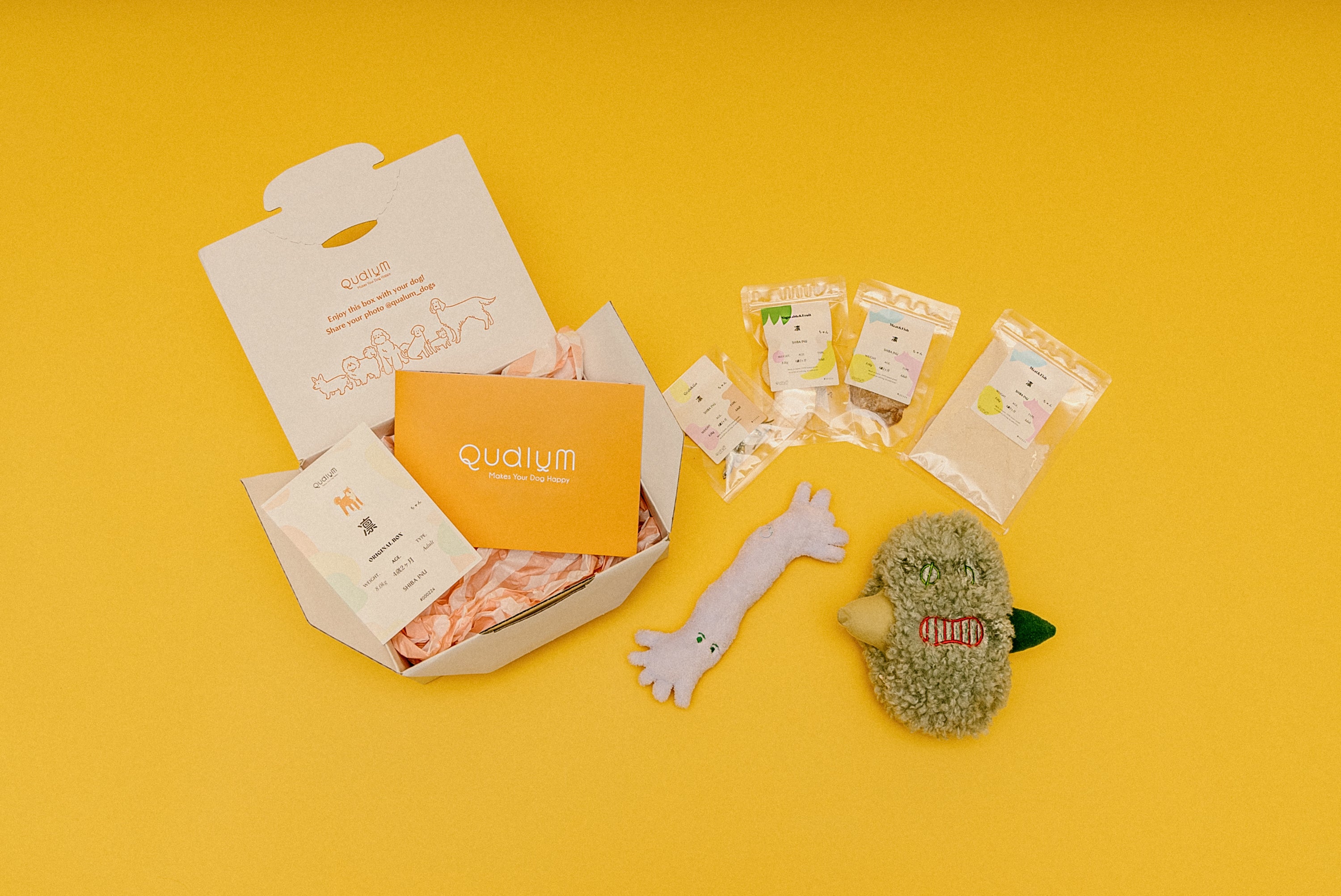 Qualum犬種別専用BOXイメージ