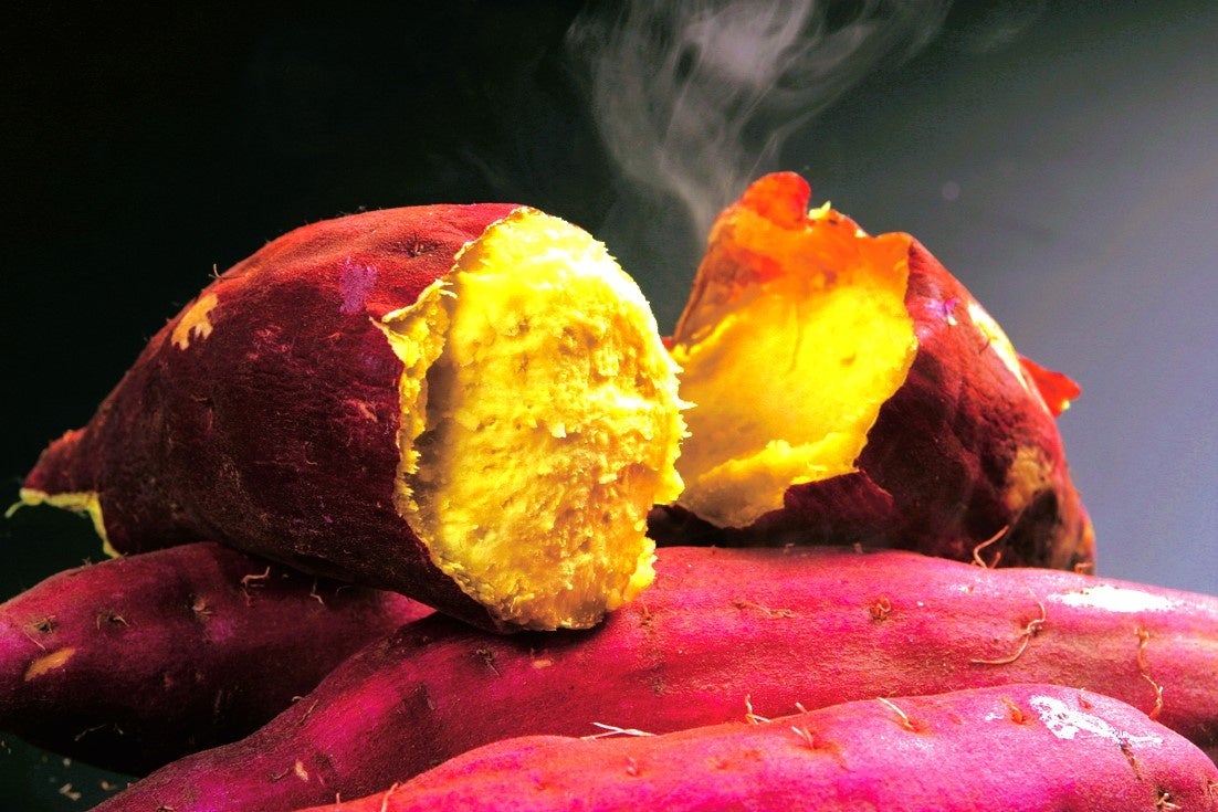 日本海の潮風を受けミネラルたっぷりの砂地で育つ「西浜いも」