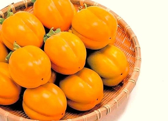 その形から「こづち」という名前で全国に出荷される出雲の西条柿