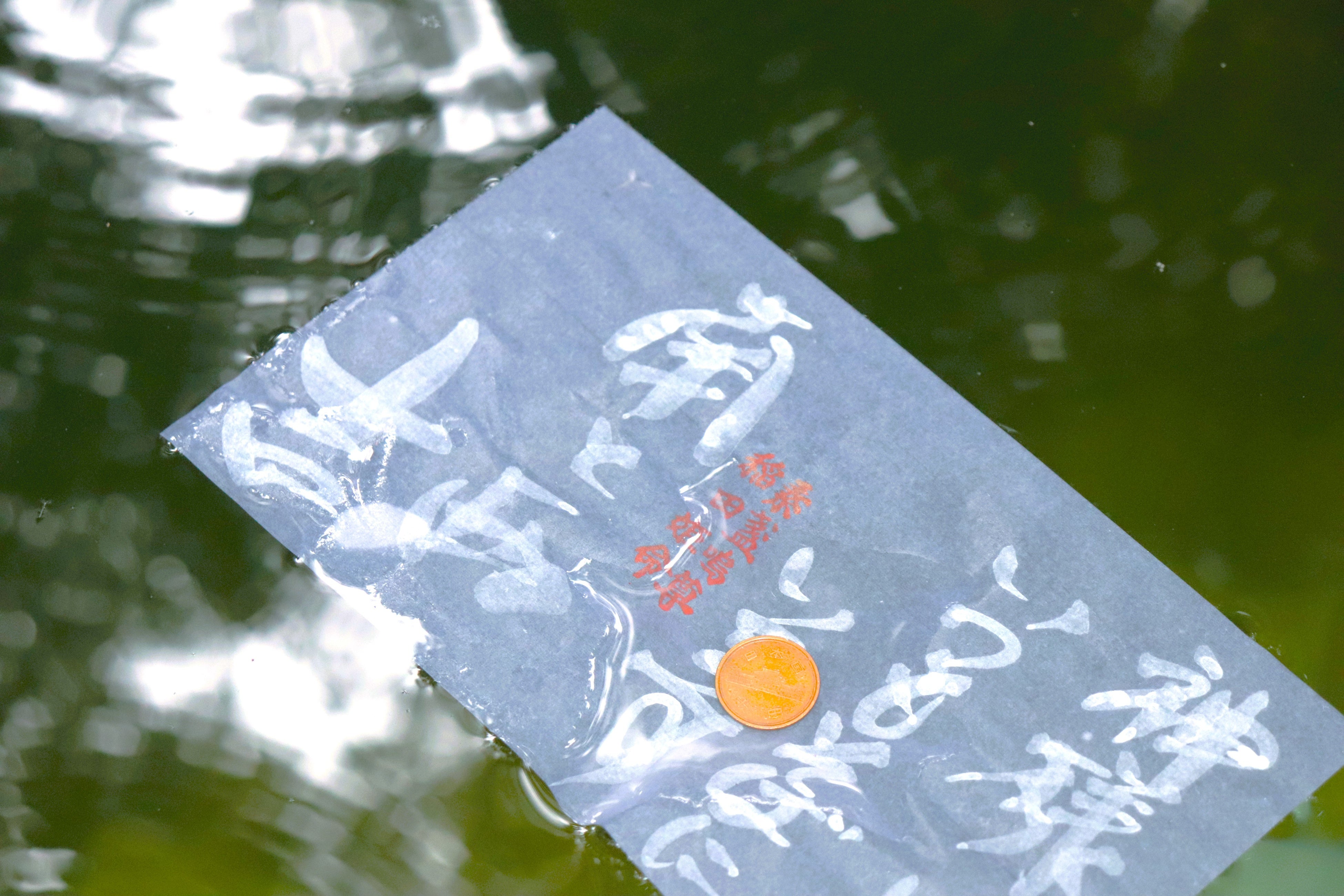 八重垣神社 鏡の池のご縁占い