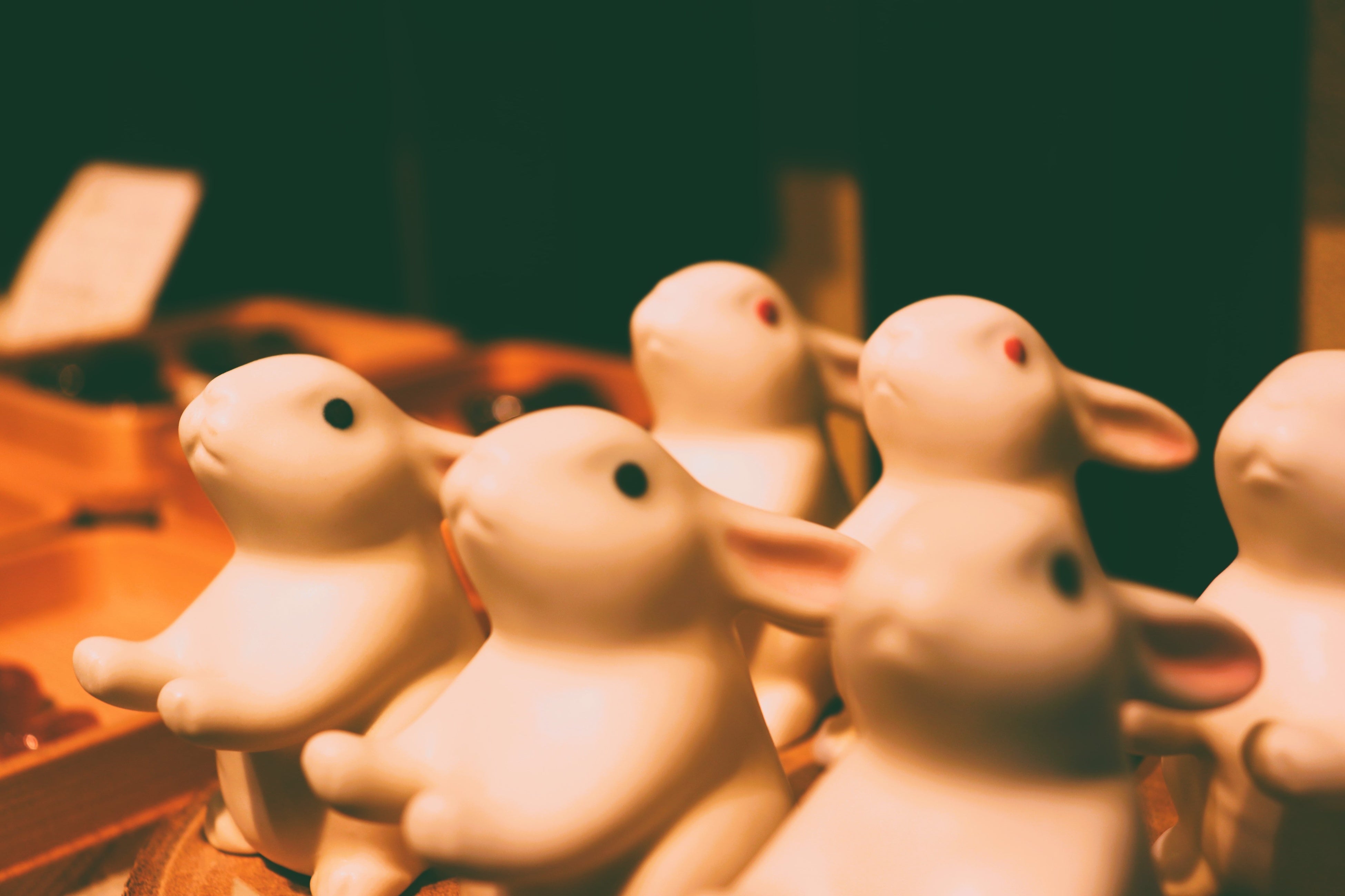 いろいろなうさぎが皆さんをお待ちしています