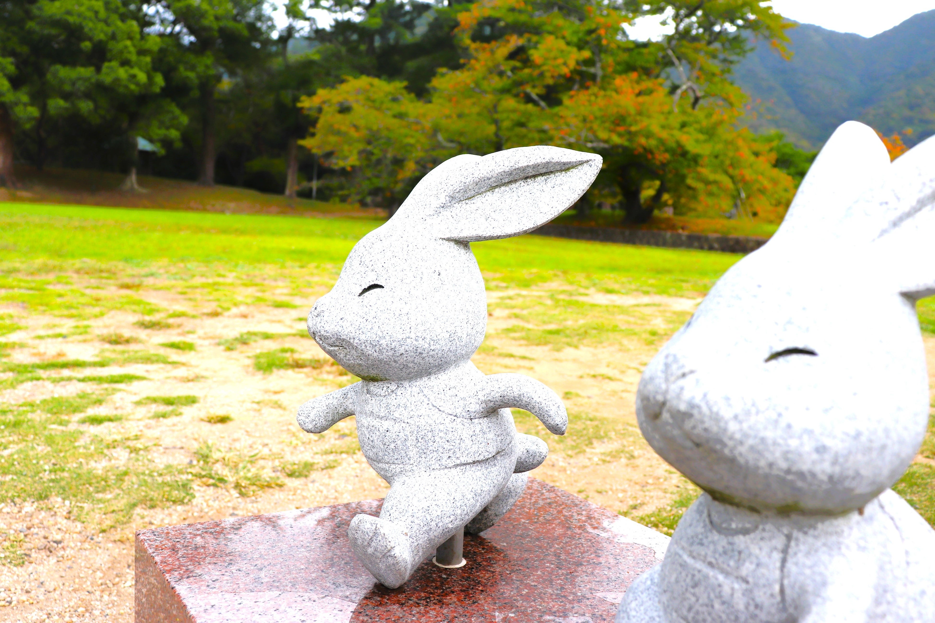 出雲大社境内にもうさぎたちがいます