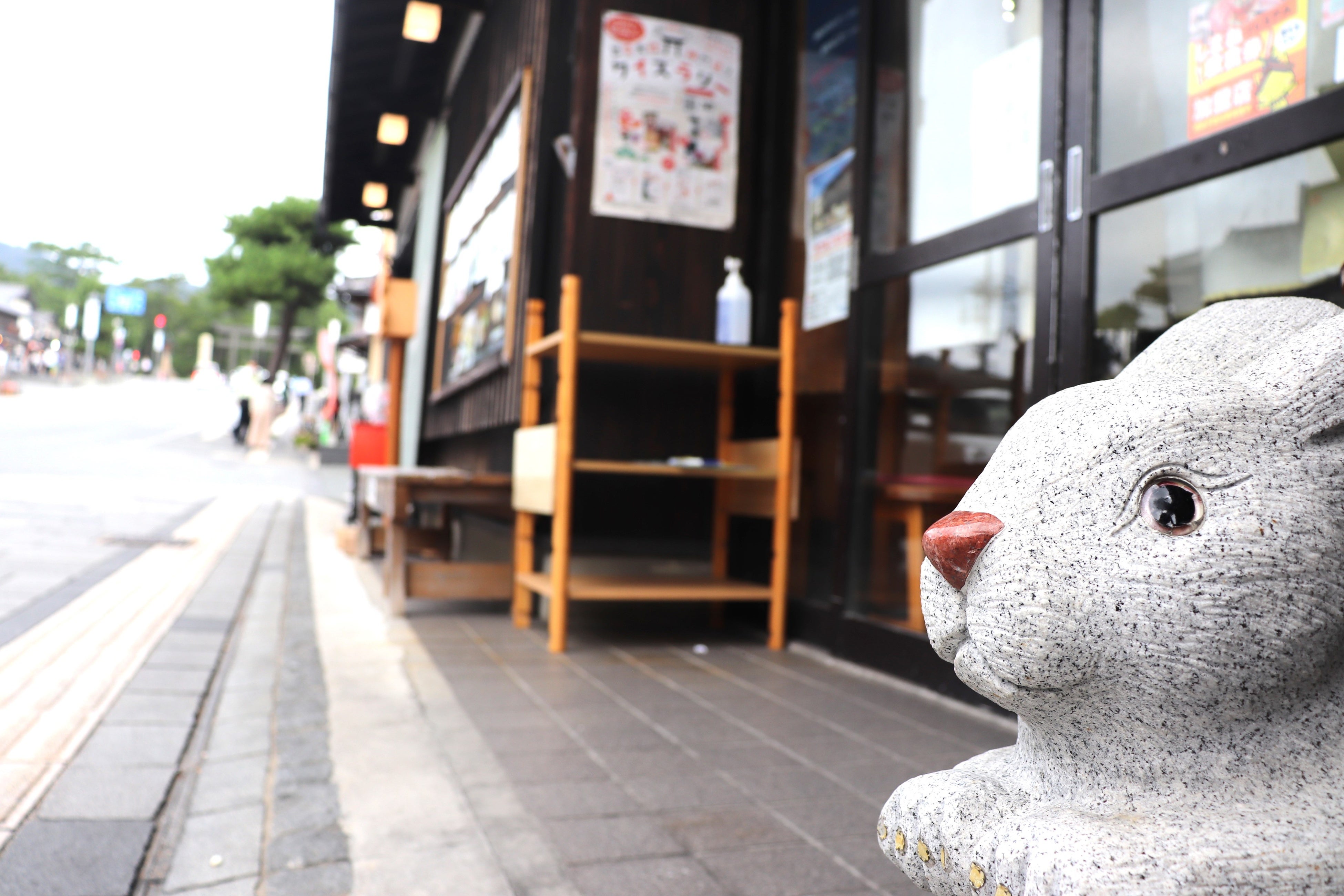 いろいろなお店にうさぎたちがいます