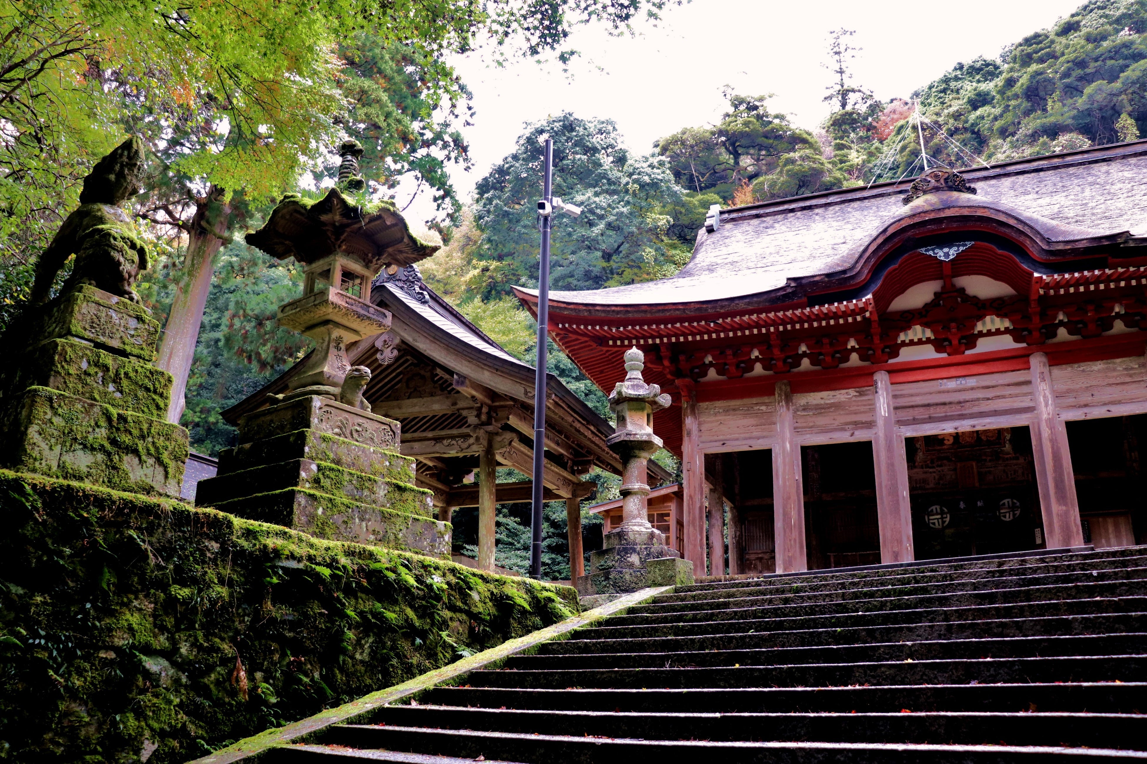 鰐淵寺
