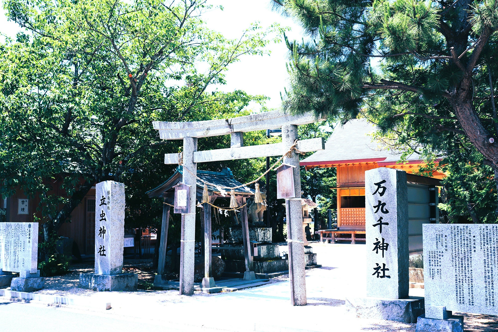 万九千神社：八百万の神々が縁結び会議の打ち上げ＝直会（なおらい）を催される