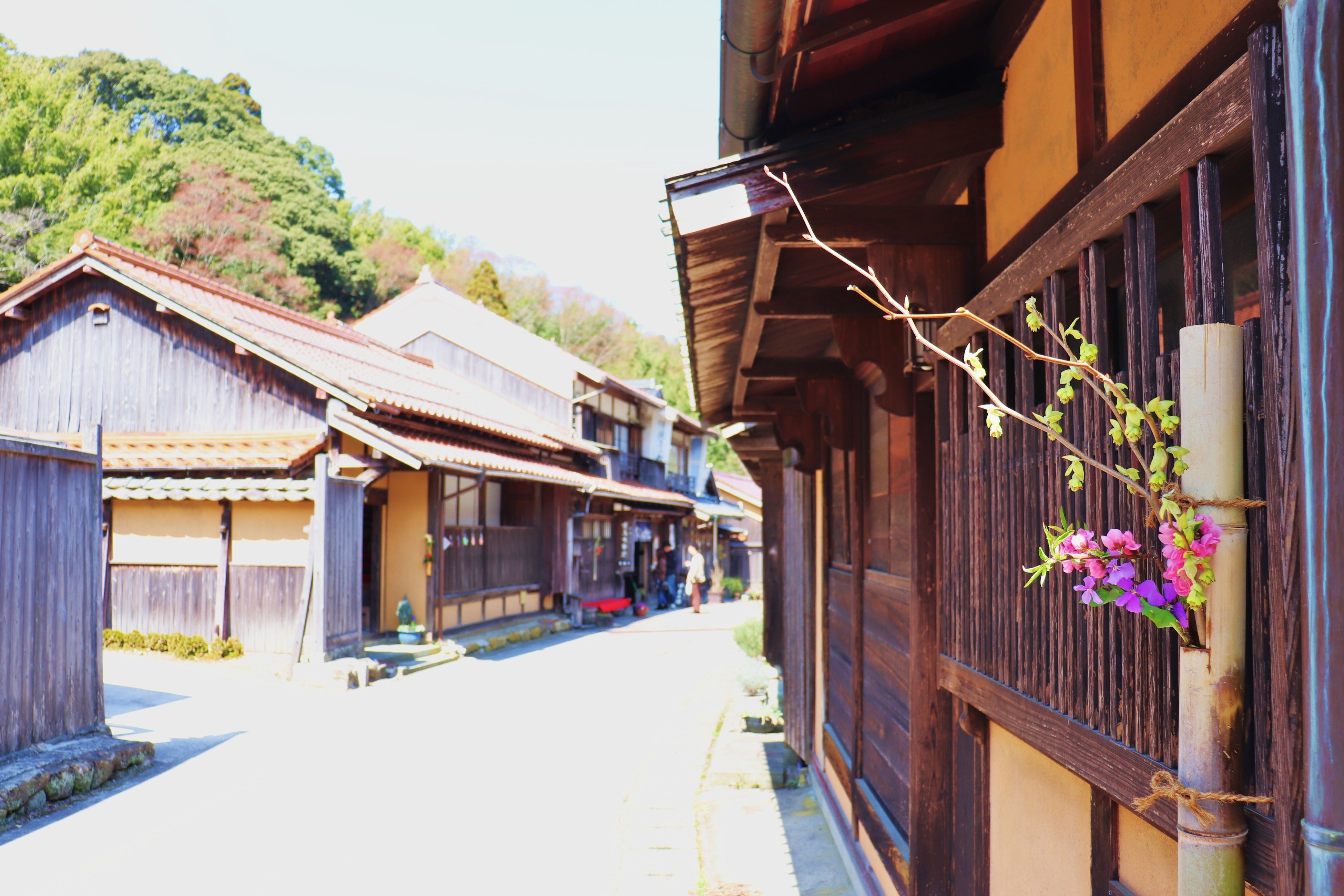 通りの至るところを風情のあるお花が彩ります【コース：石見銀山と出雲大社巡りの旅】