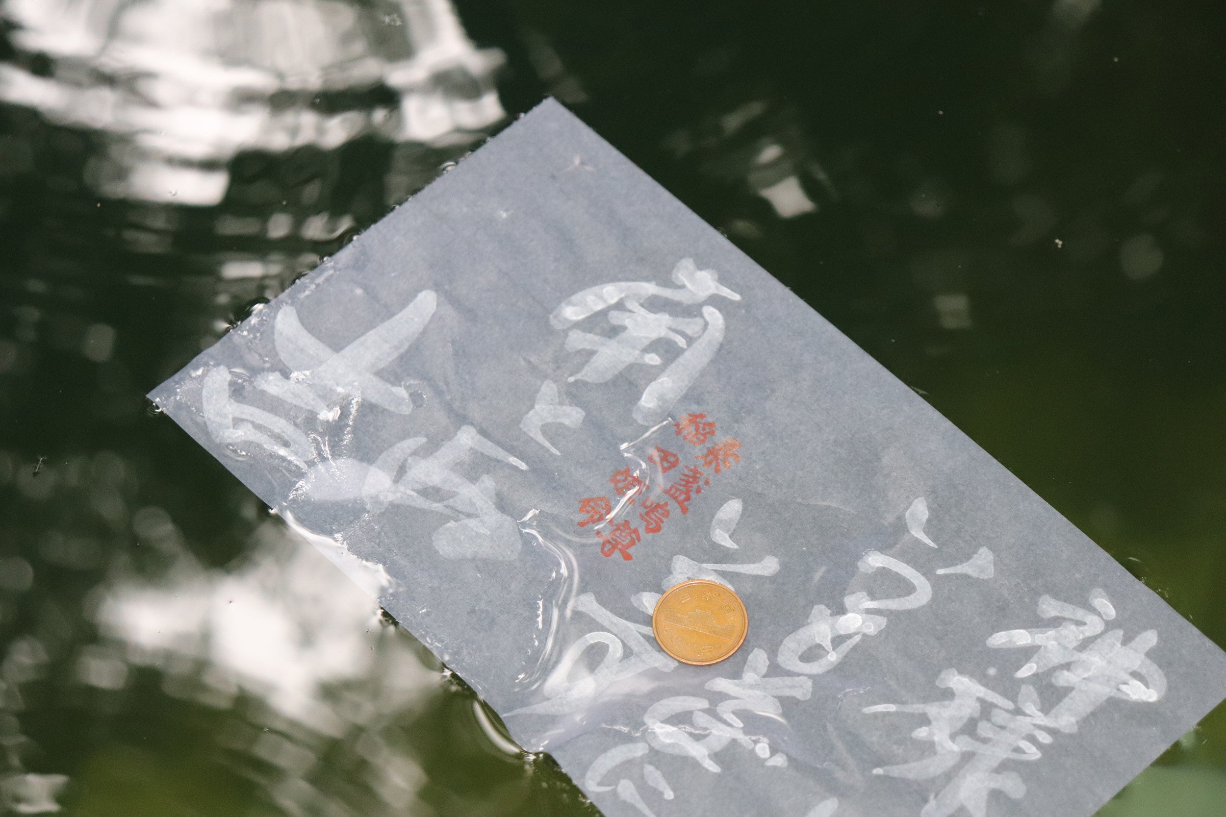 硬貨を乗せた占い用紙を浮かべて早く沈めばご縁が近いかも？【コース：出雲・松江 縁結び3社参りの旅】