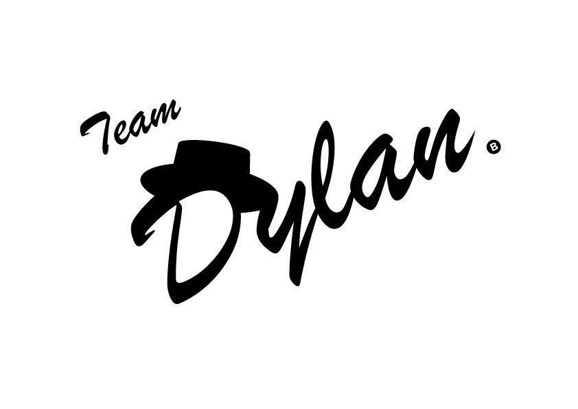 【合同会社TeamDylan会社概要】