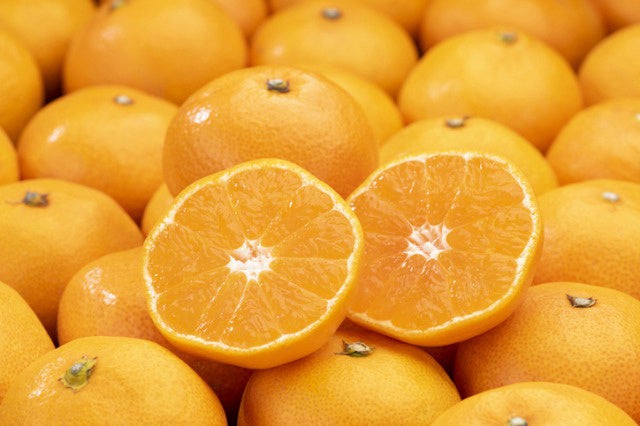 【神楽】【美鬼】【三ケ日みかん】クーガ S シンキング 神楽】【美鬼】【三ケ日みかん】クーガ S シンキング Kuga Nano S