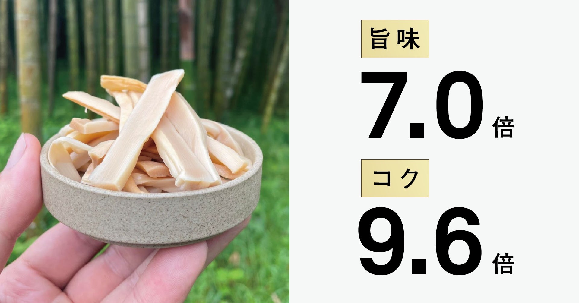 ※数値は味付け前の「延岡メンマ」と、麻竹を使用した中国産メンマとの比較