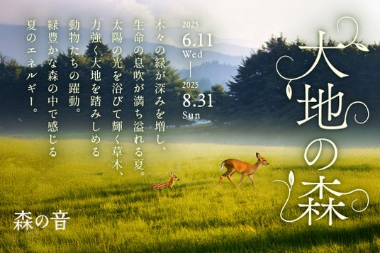 五感を研ぎ澄ます、森の隠れ家へ。1日14組限定「おやど 森の音」夏の特別イベント「大地の森」を 6月11日(水)より開催 五感を研ぎ澄ます、森の隠れ家へ。1日14組限定「おやど 森の音」夏の特別イベント「大地の森」を 6月11日(水)より開催