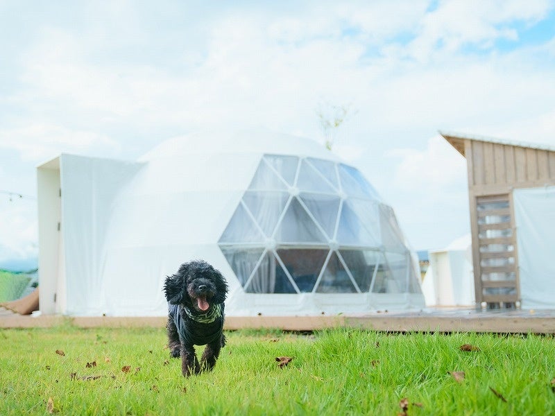 山形】愛犬と自然を楽しむグランピング体験！村山市の体験型