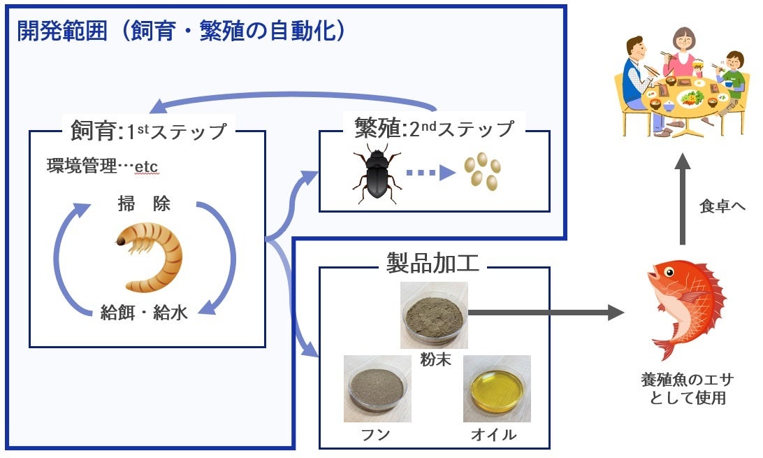 自動飼育装置の開発範囲
