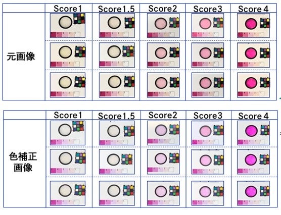 ＜DNPの色調補正技術＞1cm角程度の小さいカラーチャート「CASMATCH（キャスマッチ）」を貼り、画像の色調補正を行います。