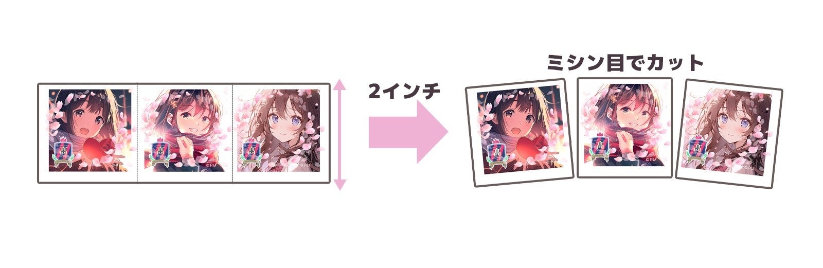 「DNP付加価値プリント フォトチップス」のイメージ：ミニバナーをさらに横にハーフカットし、プリント用紙の縦2本のミシン目で切り取ると、約50×50mmの正方形サイズに分かれます。