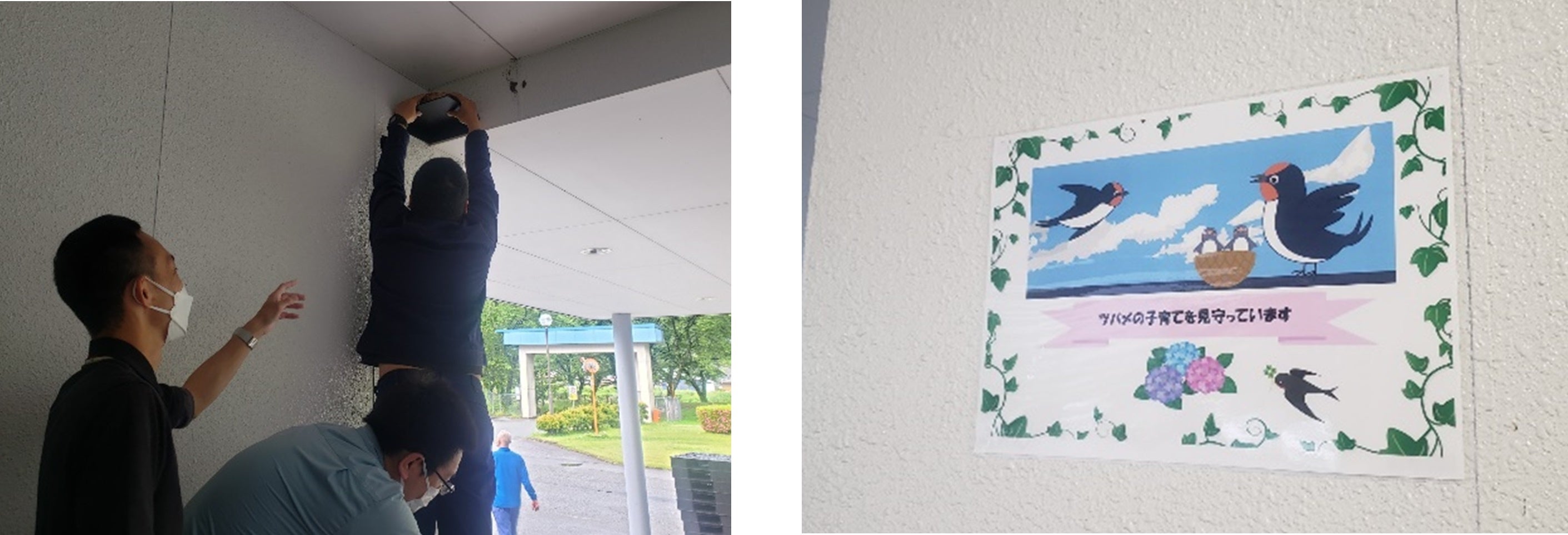 巣のために板を設置している様子（左）とツバメの子育てを伝えるポスター（右）