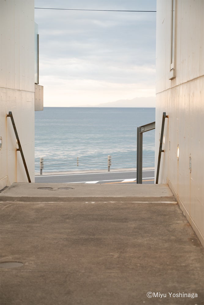 DNPメディア・アートが写真専門学校3校との共創写真展