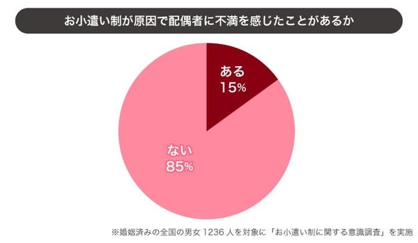 お小遣い制に対する不満の割合グラフ